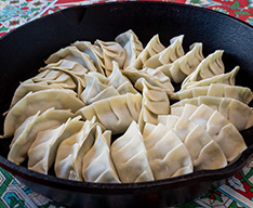 宇都宮餃子祭り